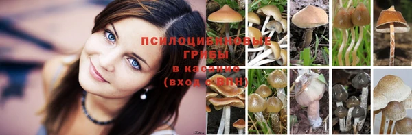 мет Балахна